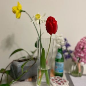 Meet your Posher, Mili